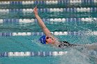 Swim vs Bentley  Wheaton College Swimming & Diving vs Bentley University. - Photo by Keith Nordstrom : Wheaton, Swimming & Diving